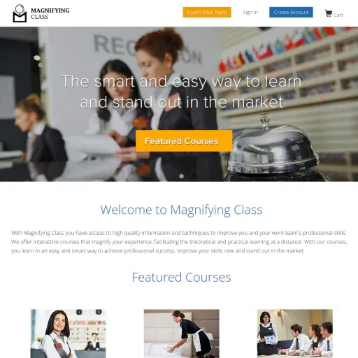 Magnifying Class LLC