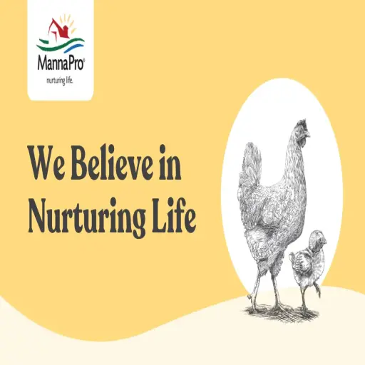 mannapro.com