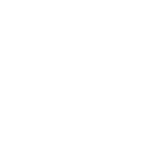 mas academy