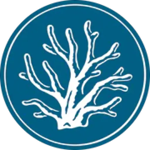 Maui Divers Jewelry