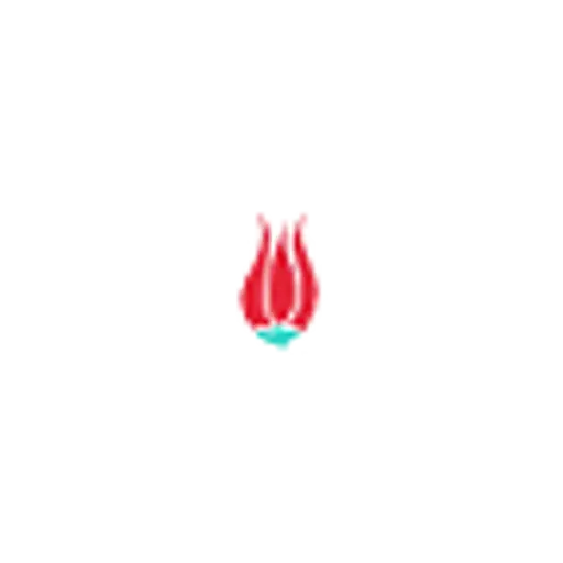 mavitours.com