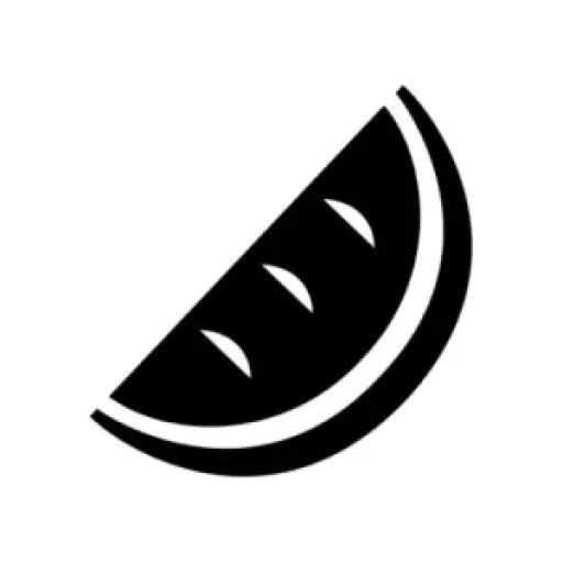 MELON OPTICS LIMITED