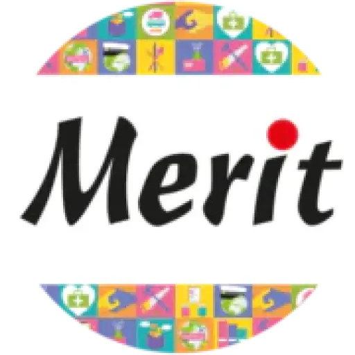 Meritutbildning