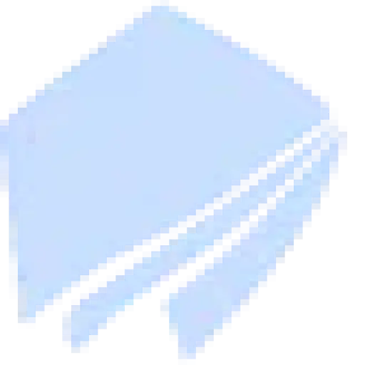 Merriam Publishers