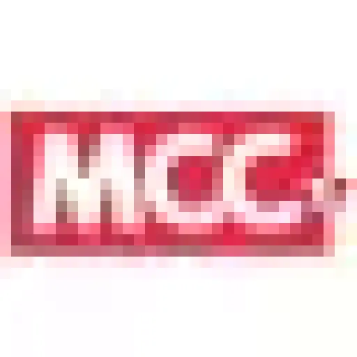 MCC USA Global Workforce Solutions