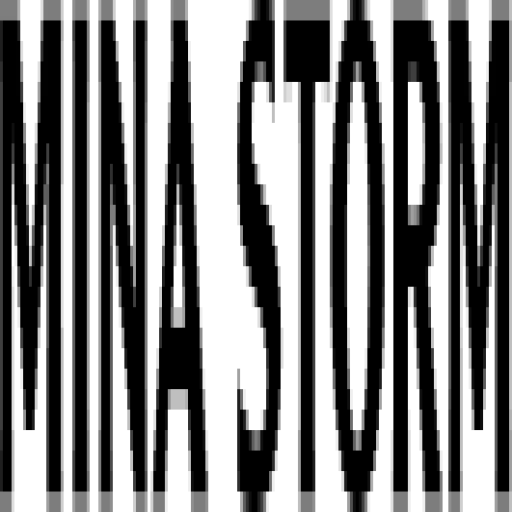 minastorm.com
