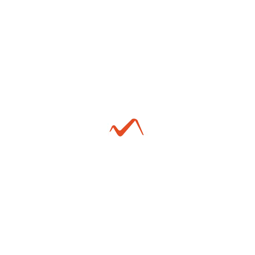 mindbridge.net