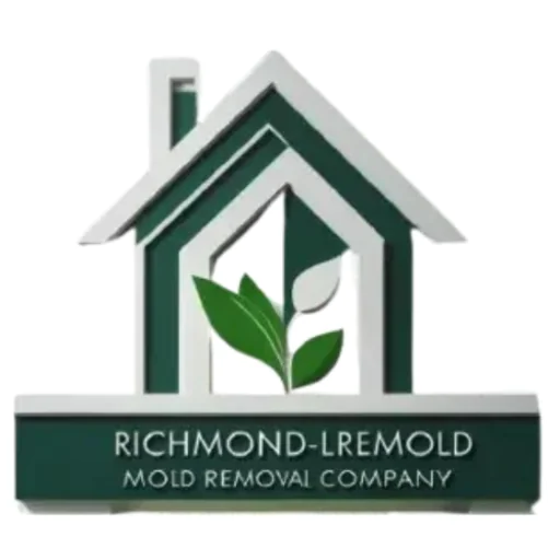 Mold Removal Richmond VA