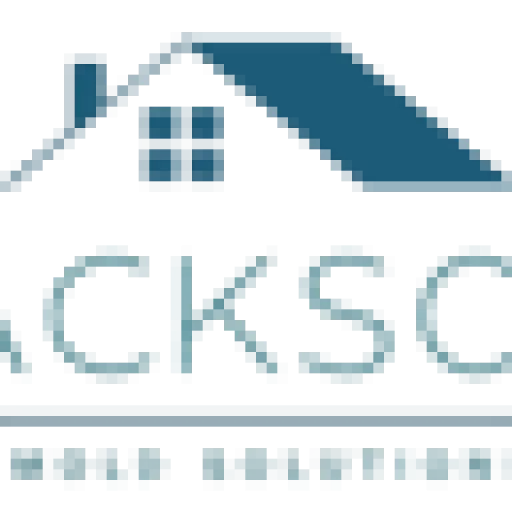 Mold Remediation Jackson MI Pros