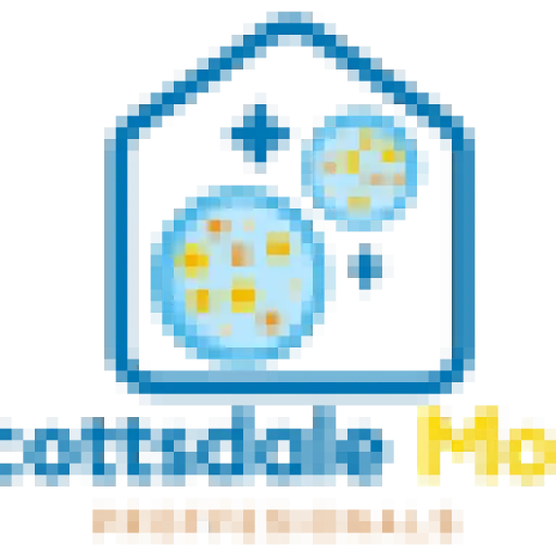 Mold Remediation Scottsdale Experts