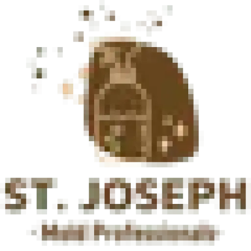 Mold Remediation St Joseph Solutions