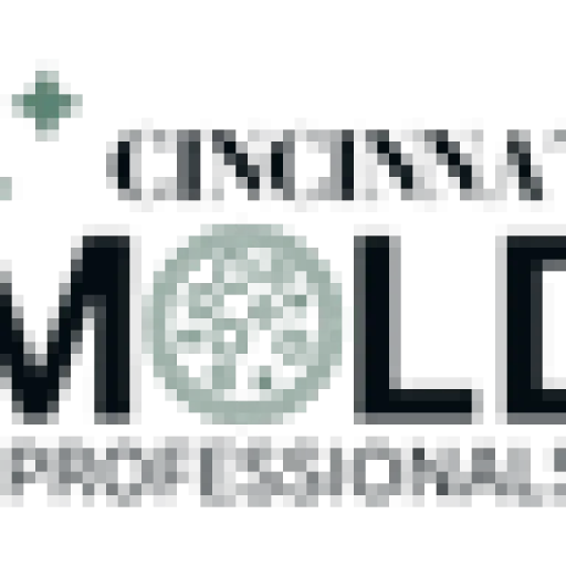 Mold Removal in Cincinnati Solutions