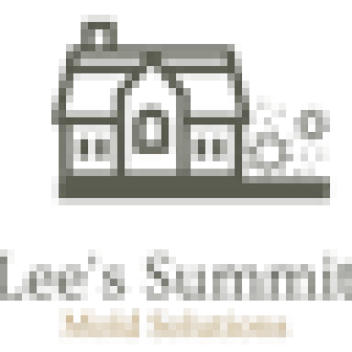Mold Removal Lees Summit Solutions