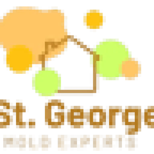 St. George Mold Removal Solutions