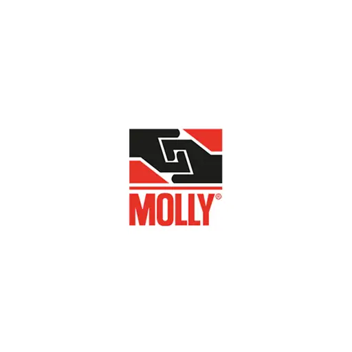 molly-fixations.com