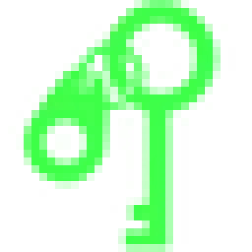 Mr. Key Fob