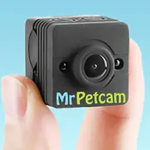 mrpetcam.com