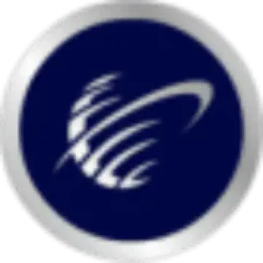 Management and Strategy Institute