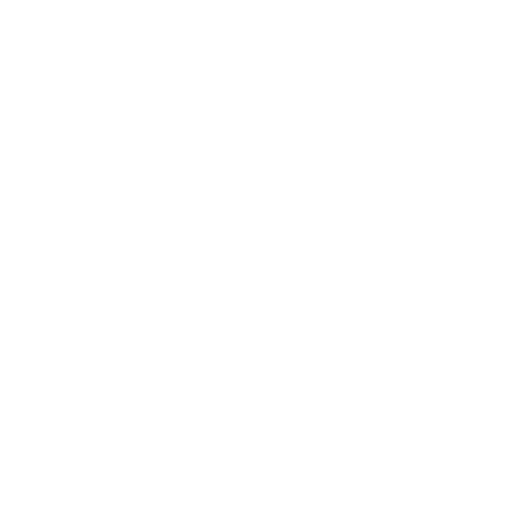 mstrwatches.com