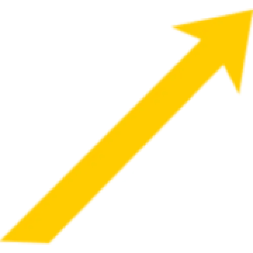 Multiplier Agency