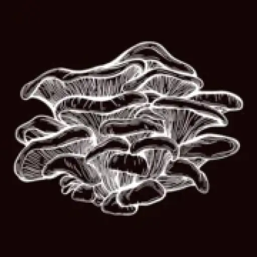 The Mushroom Emporium