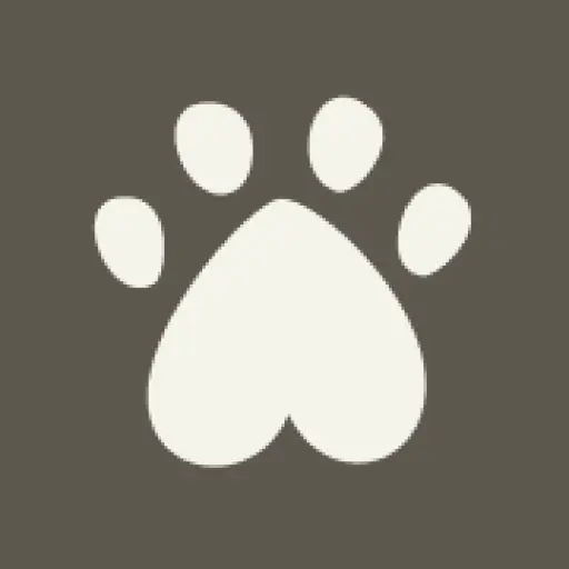 Ollie Dog Food
