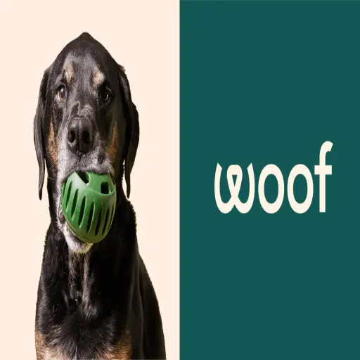 Woof Pet Inc