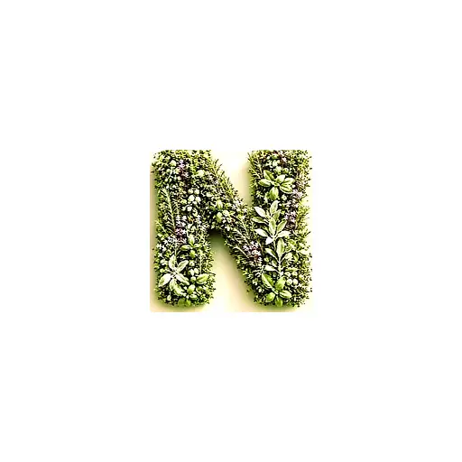 N-Health