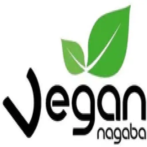 Nagaba Vegan Shoes