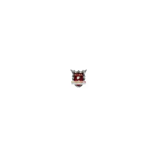 NarrowGateSecurity Agency