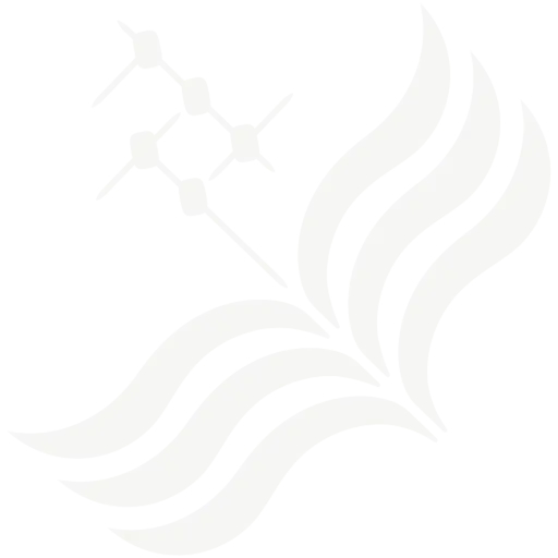 National SJP