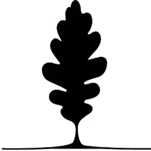 Center for alternativ behandling