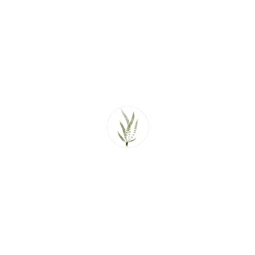 Naturally Nickel-Free Artisan Jewelry