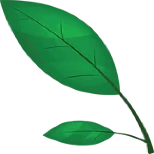 Nature's MACE