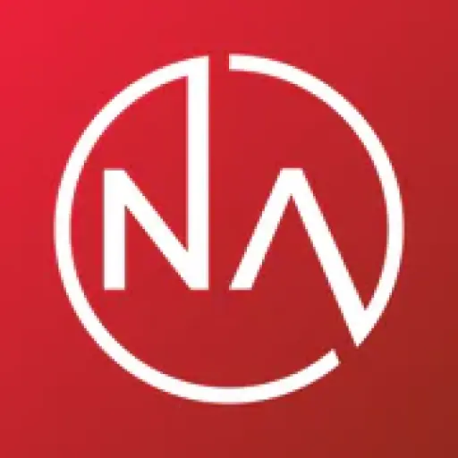 Nellis Auction