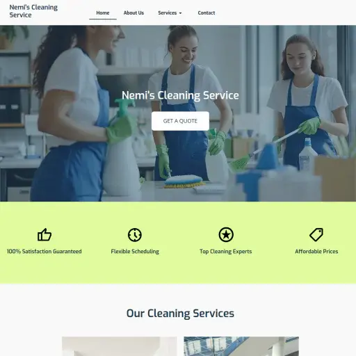 Nemiscleaningservice