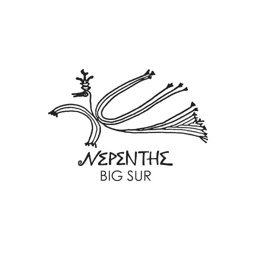 Nepenthe