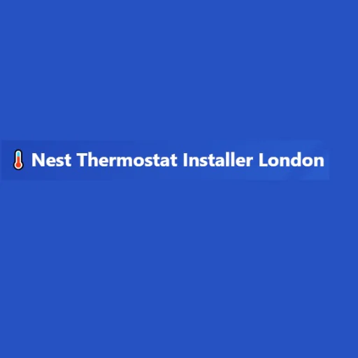 Nest Thermostat Installer London