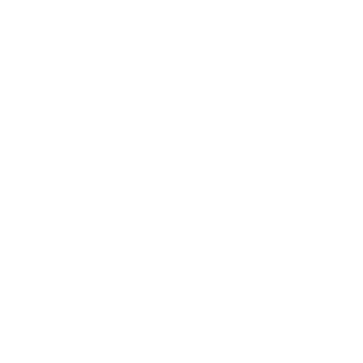 NetLook, Inc.
