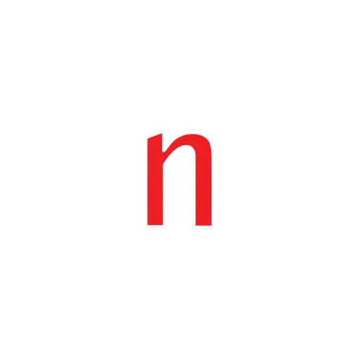 Netpace Inc.