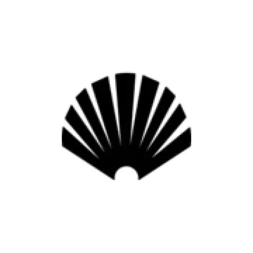 Newamsterdamsurf