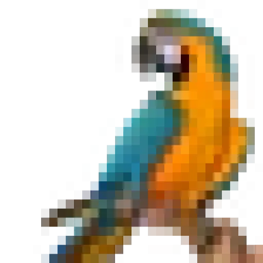 Newyorkbirdsupply