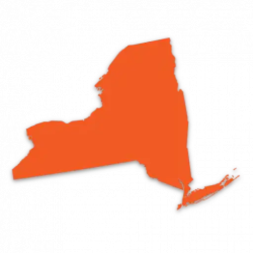 Ny Registered Agent