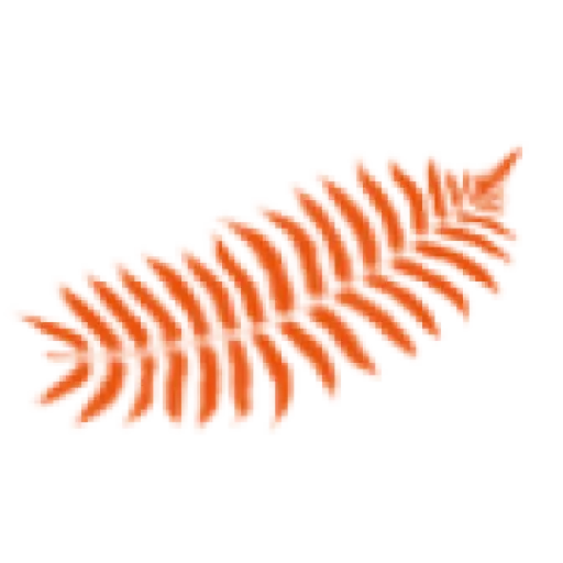 Newzealandtrends
