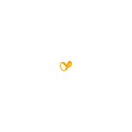 Nextleveldigitals