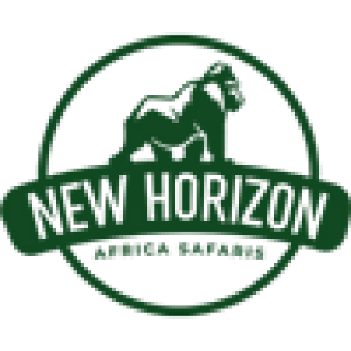 New Horizon Tours