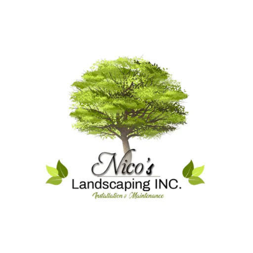 Nico's Landscape