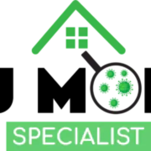 New Jersey Mold Specialist