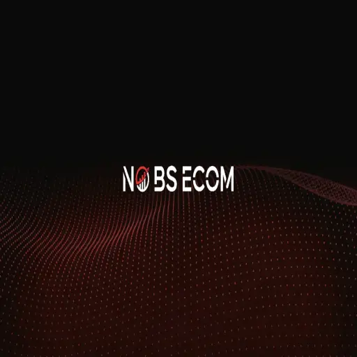 No BS Ecom