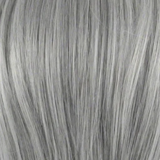 Norbert's Grey Hair Specialist